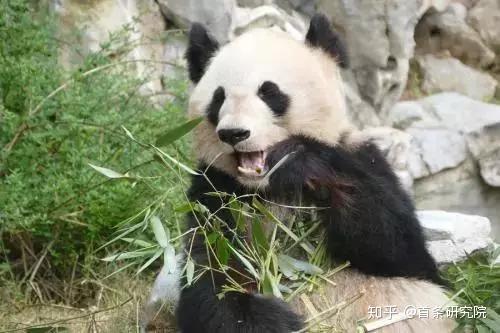 瑞康醫(yī)藥的快與慢 商譽(yù)高企 營(yíng)利雙降 何破并購(gòu)藩籬