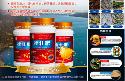 華佗醫(yī)藥水產(chǎn)促生長(zhǎng)解決方案 助力海參、蝦蟹與魚類高效養(yǎng)殖
